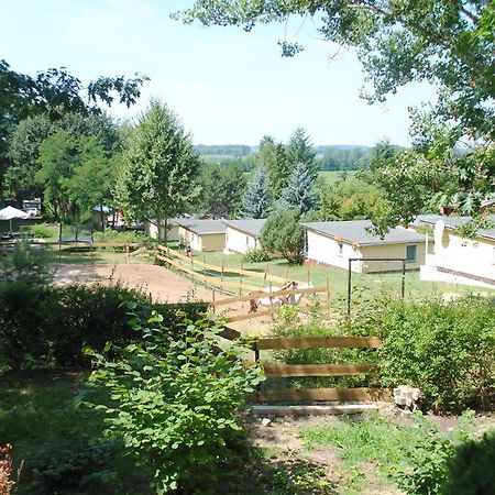 Bungalows Zur Alten Faehre ヴェルダー 部屋 写真