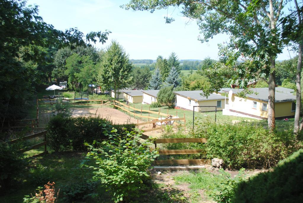 Bungalows Zur Alten Faehre ヴェルダー 部屋 写真
